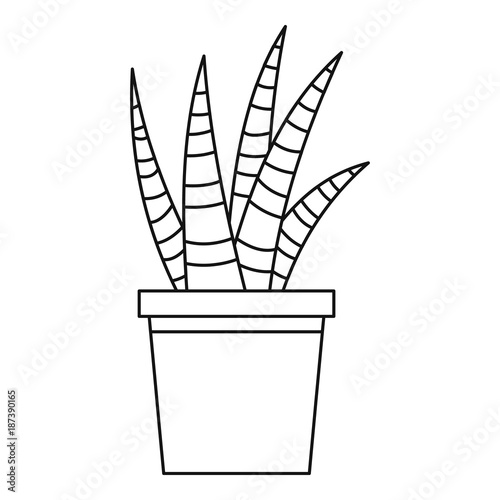 Succulent house plant icon, outline style