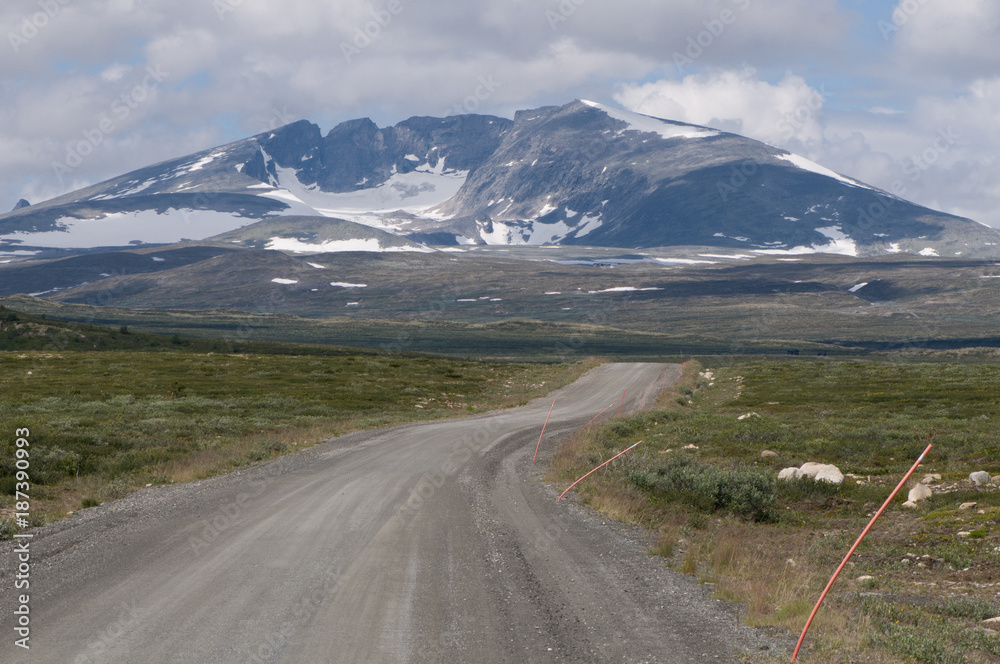 Dovrefjell mit Snöhetta, Norwegen Dovrefjell mit Snöhetta, Norwegen