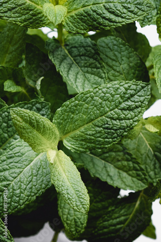 Fresh mint leaves