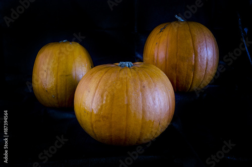 Three Pumpkins on Black Background