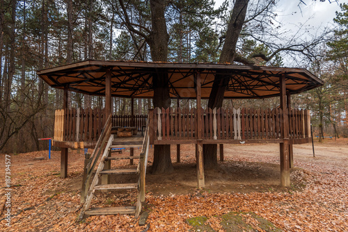 Wooden fairytale treehouse. © ba11istic