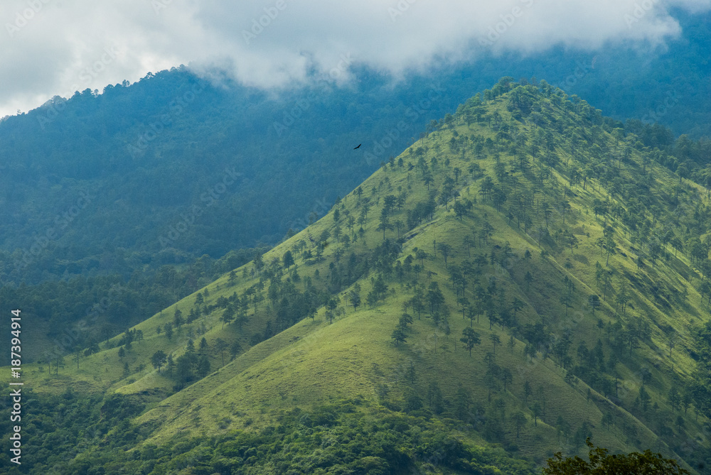 Summer landscape with mountains, cloudy sky, green grass and trees in Guatemala.