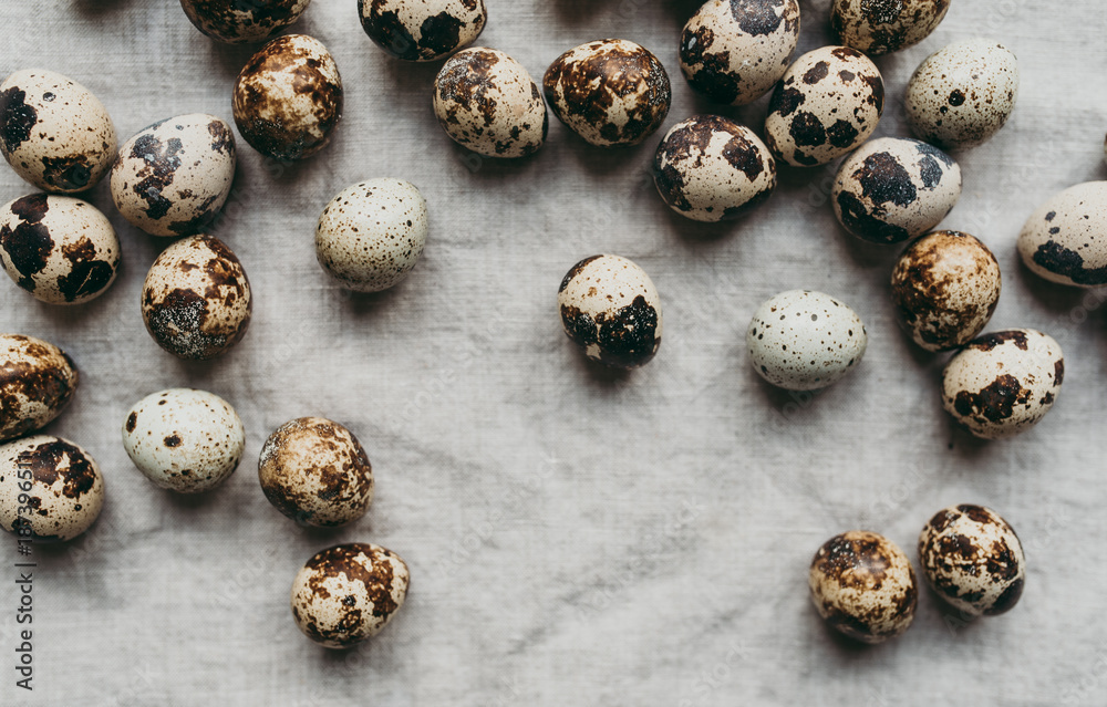 quail eggs quail eggs
