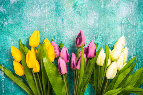 Vibrant tulips on concrete background,card template