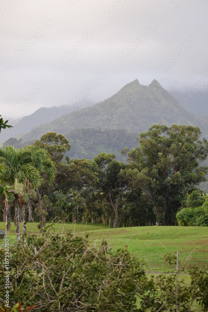 Fototapeta premium Mountain