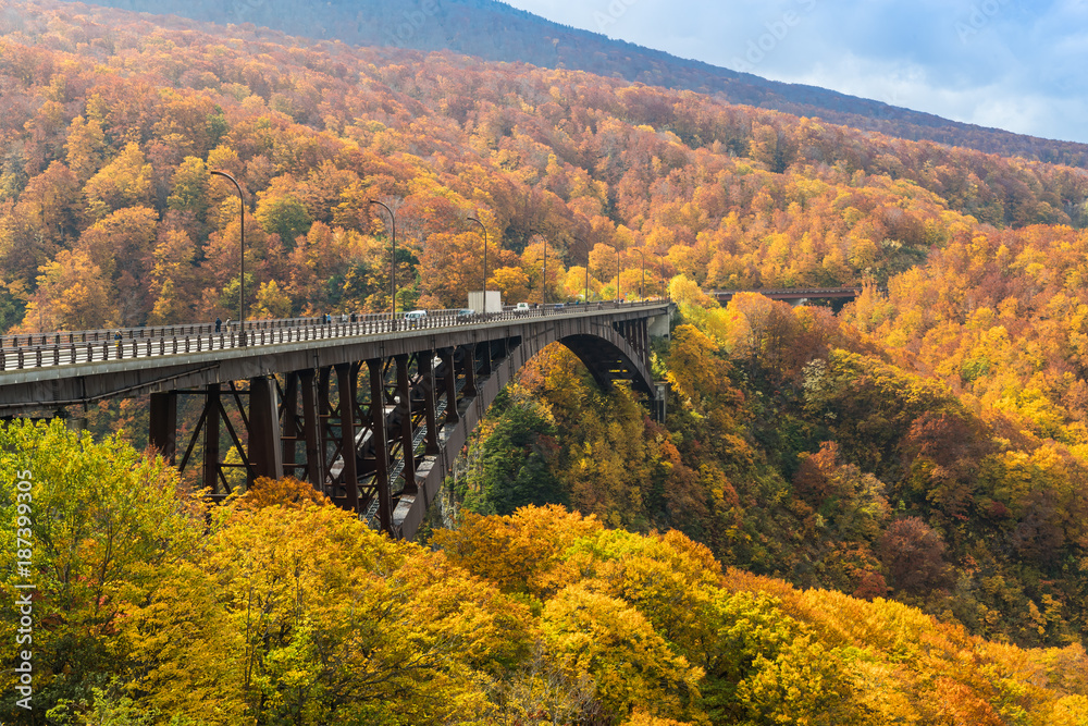 Jogakura Bridge at Aomori prefevture in autumn season Jogakura Bridge at Aomori prefevture in autumn season