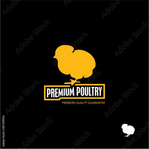 Chick. Chicken. Poultry.
