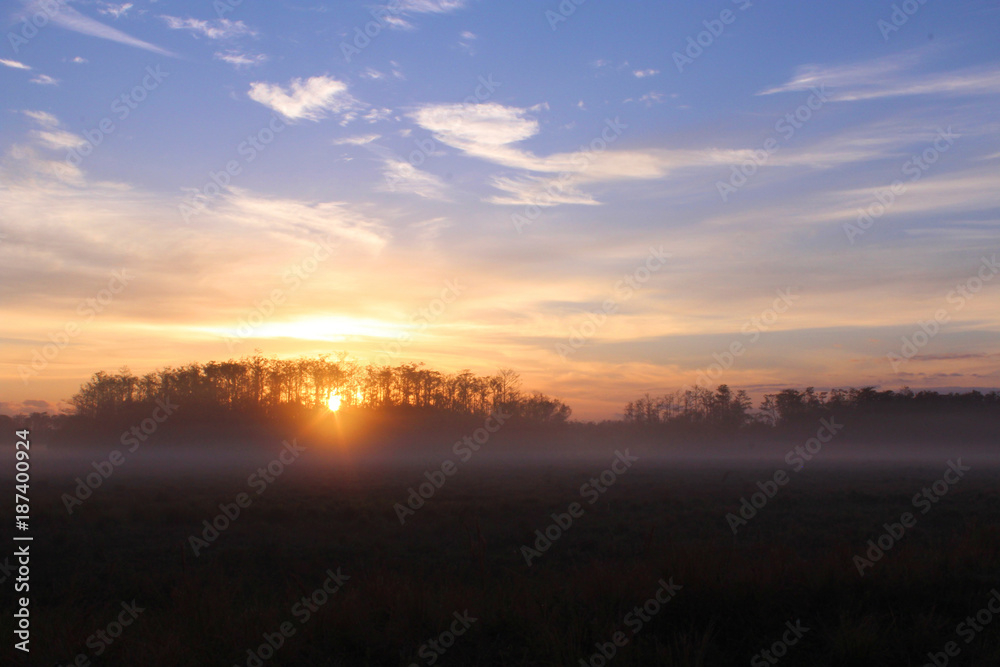 Early Morning Sunshine Over a Farm in Florida, United States.