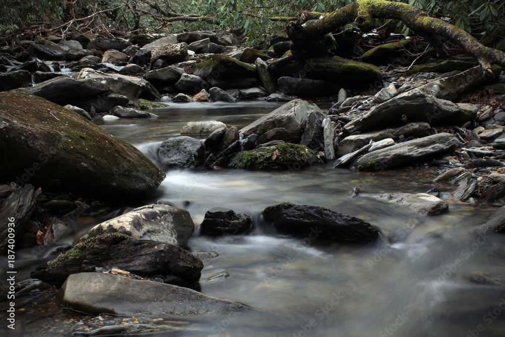 Depressing and Gloomy Dark River in the Deep Woods Depressing and Gloomy Dark River in the Deep Woods
