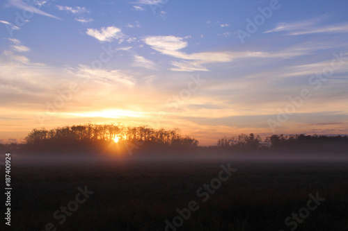 Early Morning Sunshine Over a Farm in Florida, United States. © Mitchell