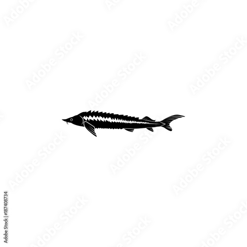sturgeon icon. Fish and sea products elements. Premium quality graphic design icon. Simple love icon for websites  web design  mobile app  info graphics