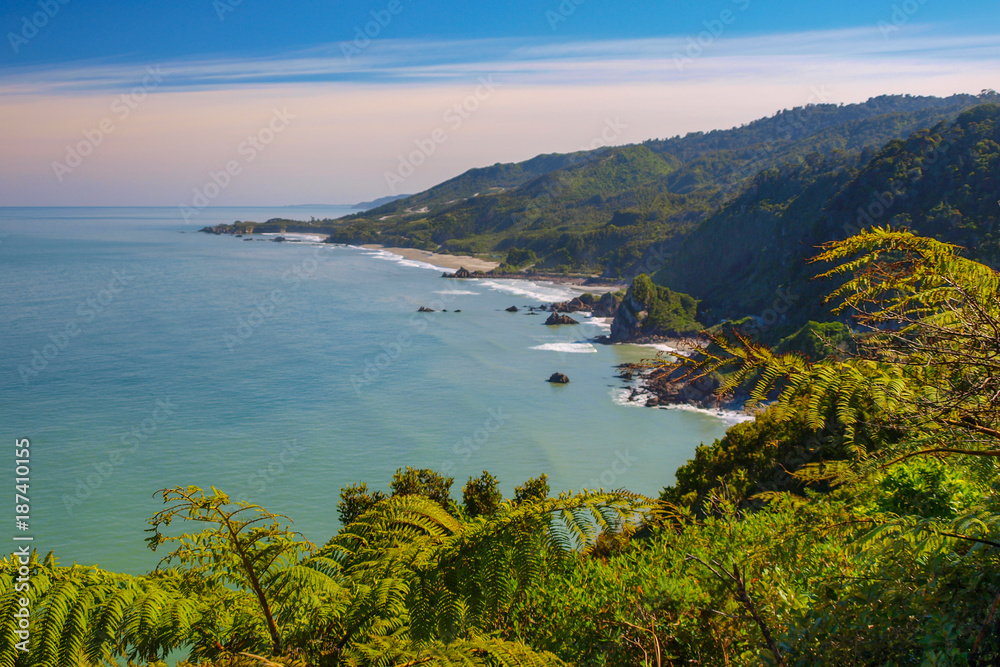 Naklejka premium View over Paparoa National Park