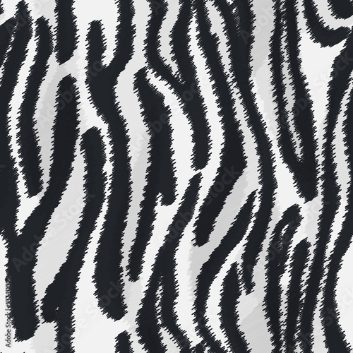 Zebra fur texture. 