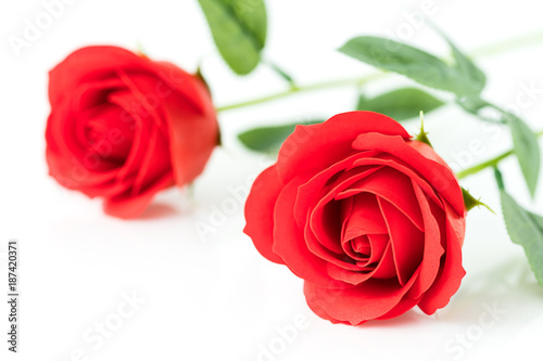 Red plastic fake roses on white