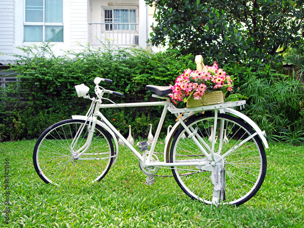flower on vintage bicycle parking in garden 