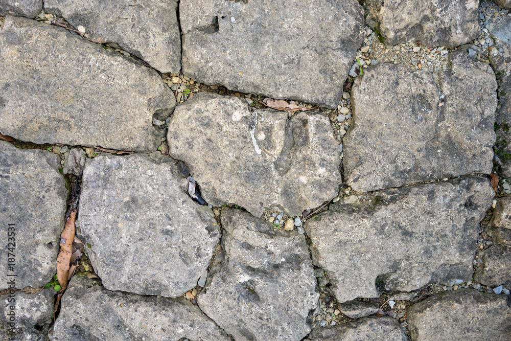 Obraz premium 沖縄の石垣のテクスチャ