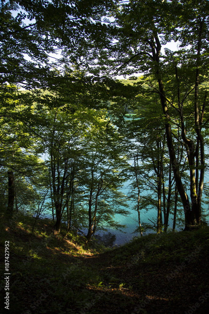Fototapeta premium cascate con fiume natura