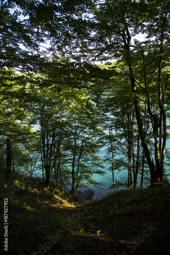 cascate con fiume natura