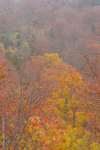 Autumn in Fukushima  Japan