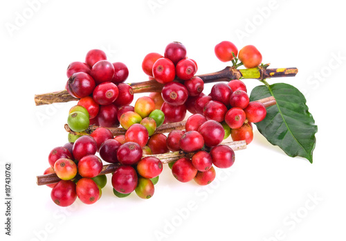 fresh coffee beans on white background