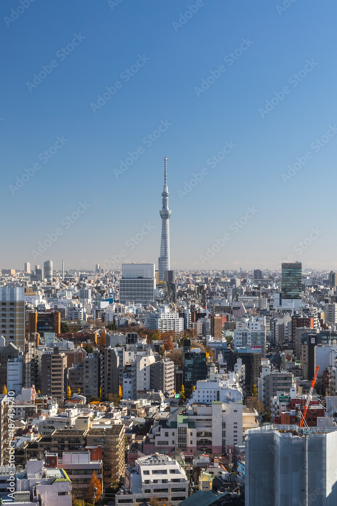 Tokyo city view 