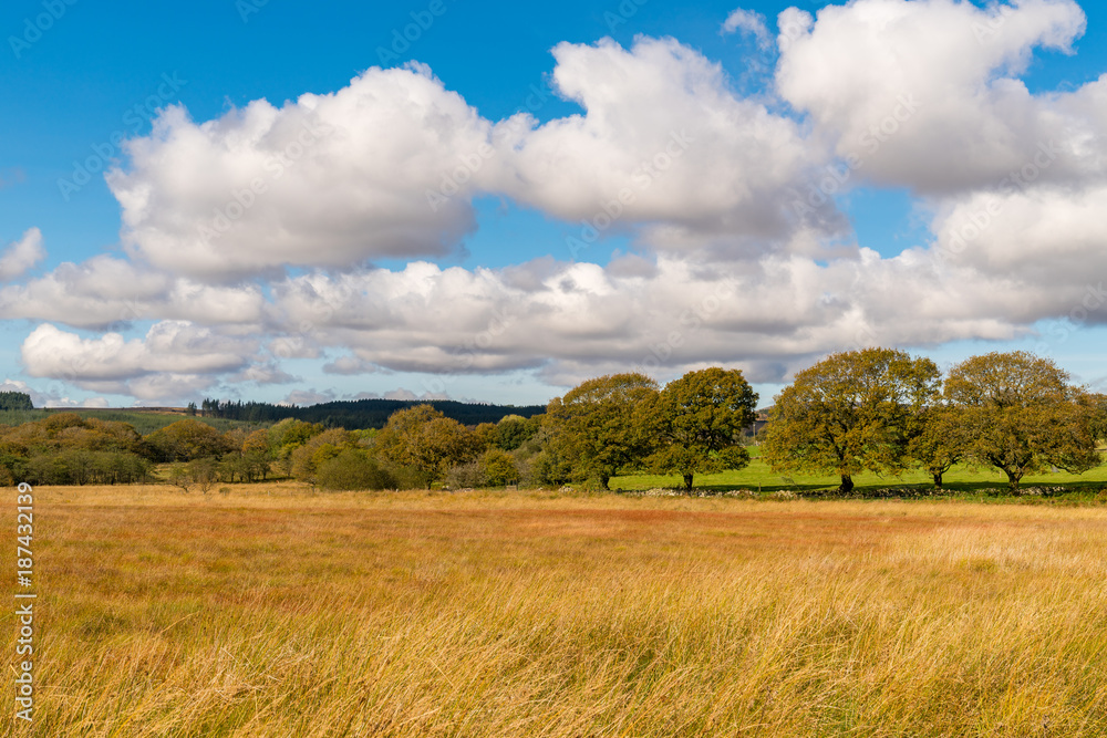 Clouds over a field near Ystradfellte in Powys, Wales, UK