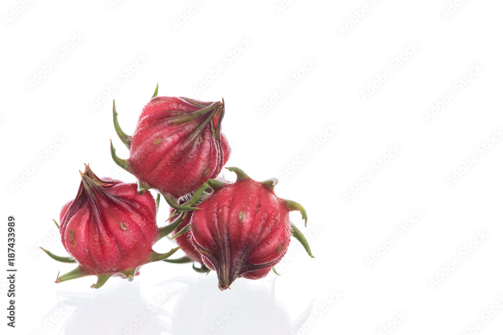 Obraz premium Hibiscus sabdariffa or roselle fruits isolated on white