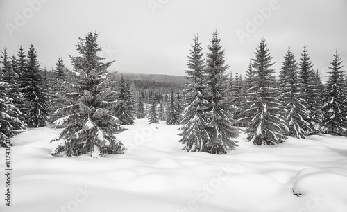 Black and white picture of a mountain winter landscape.