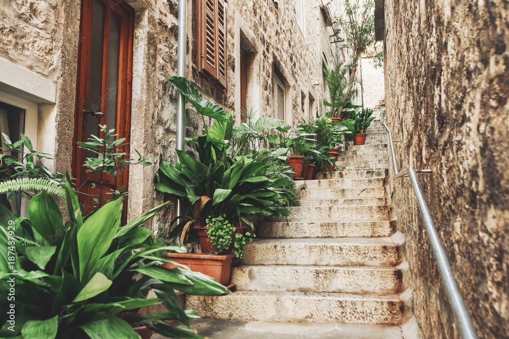 Naklejka premium Beautiful street with flowers in the Hvar town, Hvar island, Dalmatia, Croatia