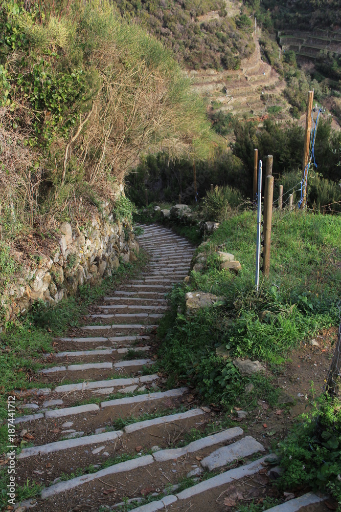 sentier ligure, Cinque Terre, Italie