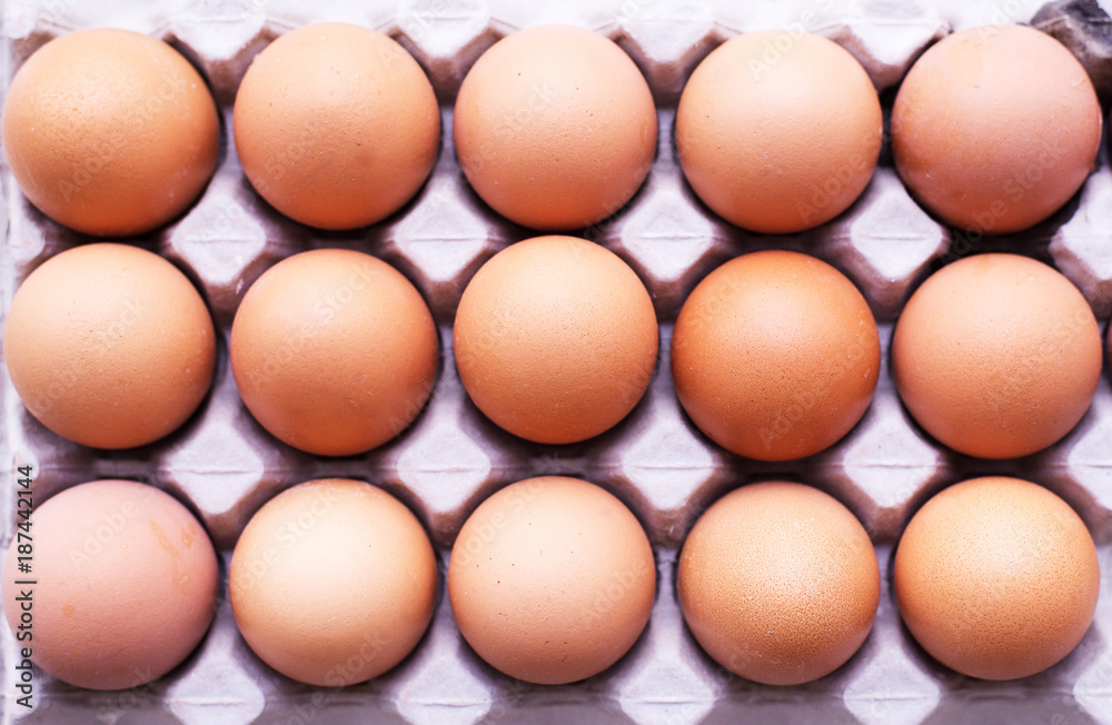 Closeup of raw chicken eggs in egg box or carton