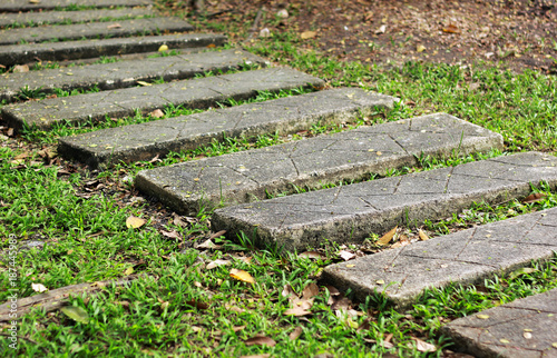 rock path way on grass