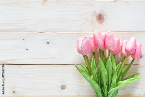 Spring flower background with beautiful pink tulip on white wood frame backdrop for seasonal greeting card celebration 