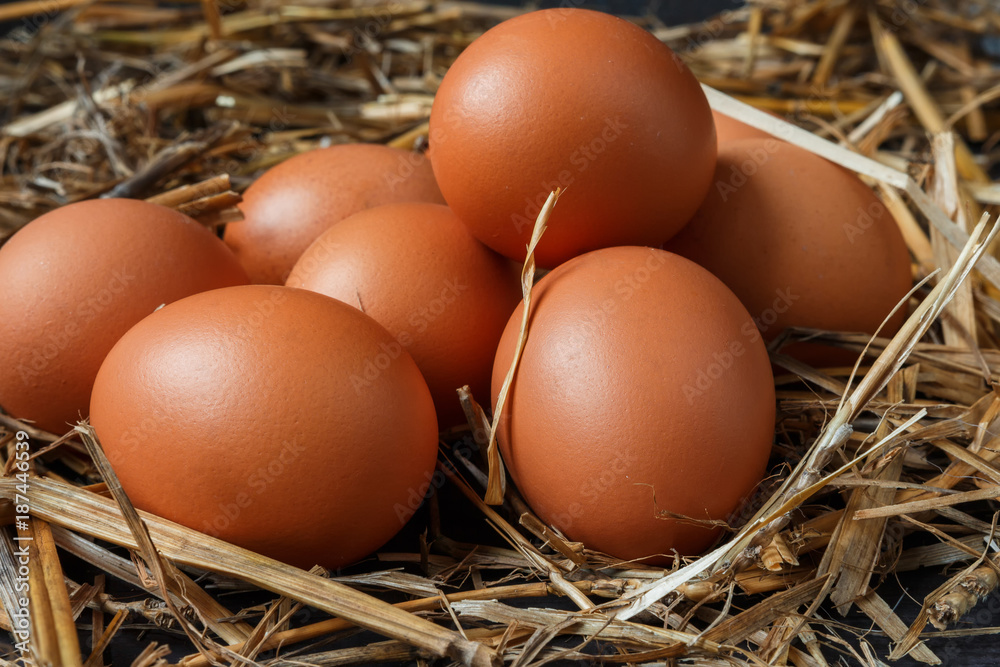 Eggs of brown chicken on a wooden background with straw with copy space in rustic vintage style