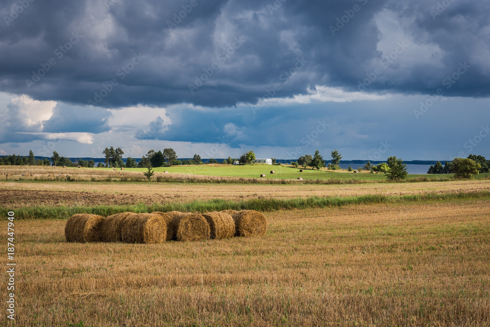 Straw bales on a field on the shore of Sniardwy Lake in Masuria region of Poland