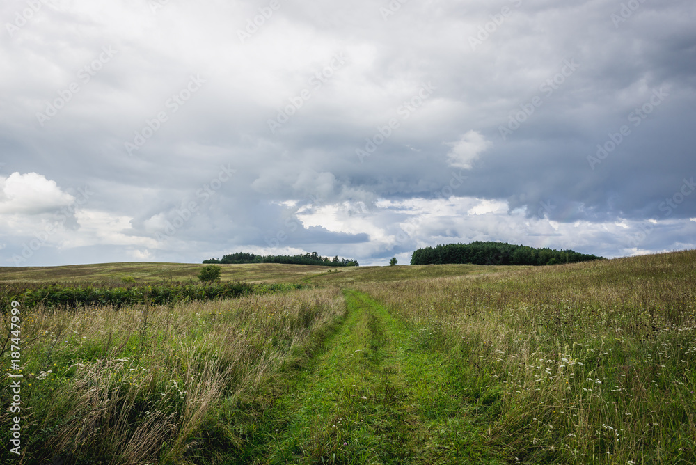Road on a fields in Masurian Lakeland region of Poland Road on a fields in Masurian Lakeland region of Poland