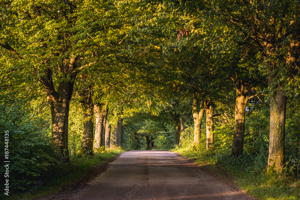 Road near small Zelki village in Masurian Lakeland region of Poland