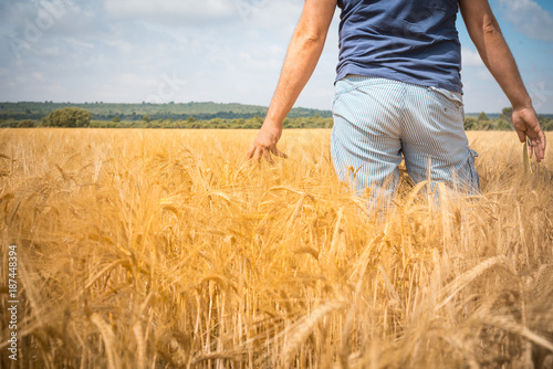 Sentimiento de calma y relax de un hombre paseando en un campo de trigo en verano