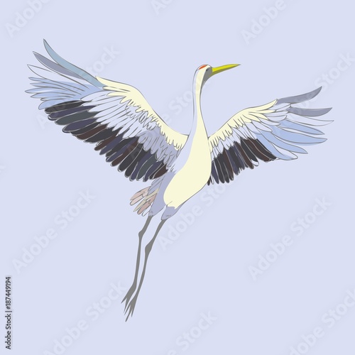 Vector watercolor set of illustrations bird crane. White stork . isolated object