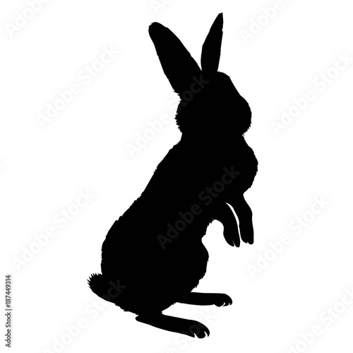 Bunny rodent black silhouette animal