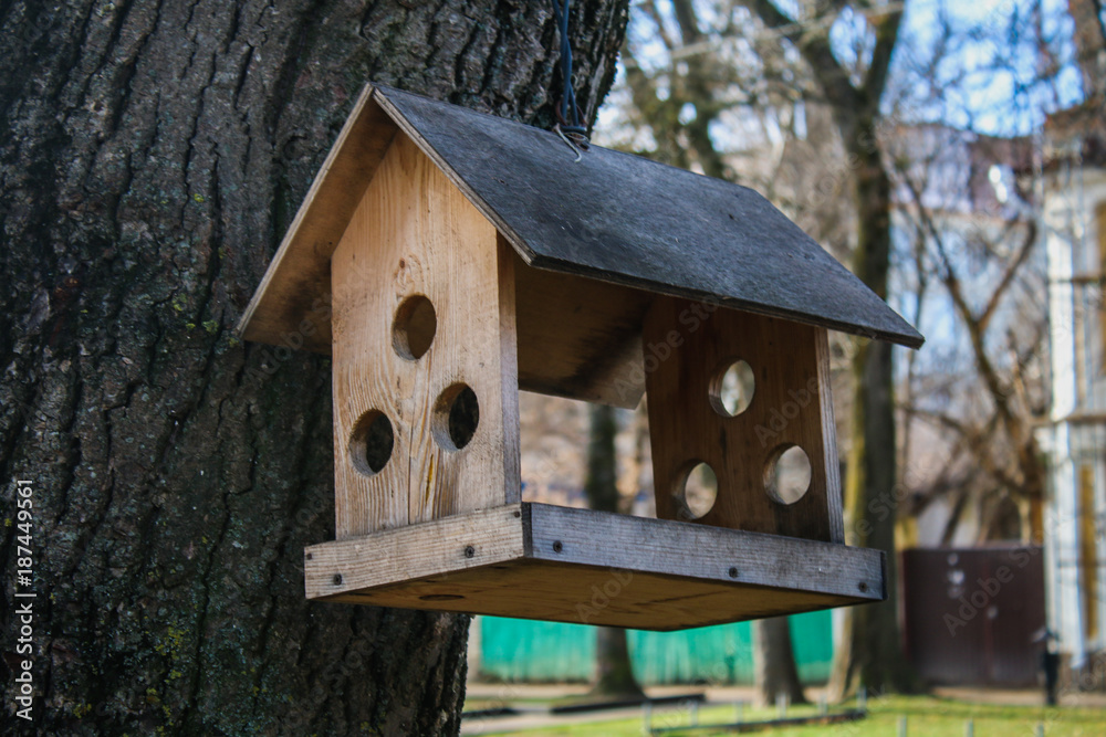 A creative wooden bird feeder in the park. A creative wooden bird feeder in the park.