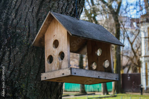 A creative wooden bird feeder in the park.