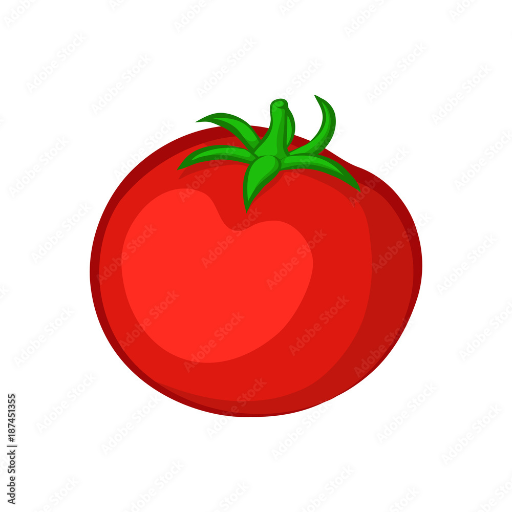 Tomato isolated on a white background. Vector illustration. Tomato isolated on a white background. Vector illustration.
