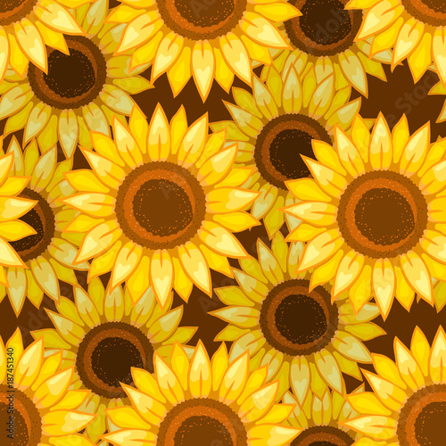 Fototapeta Naklejka Na Ścianę i Meble -  Sunflowers seamless pattern. Vector illustration.