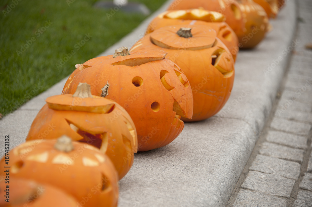 Carved pumpkins in a row for halloween