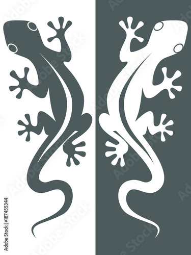 Abstract icon symbol or sign lizard isolated on white and black background. Vector illustration