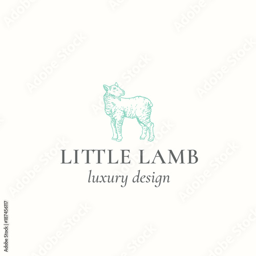 Little Lamb Abstract Vector Sign  Symbol or Logo Template. Hand Drawn Engraving Sheep Sillhouette with Retro Typography. Vintage Luxury Vector Emblem.