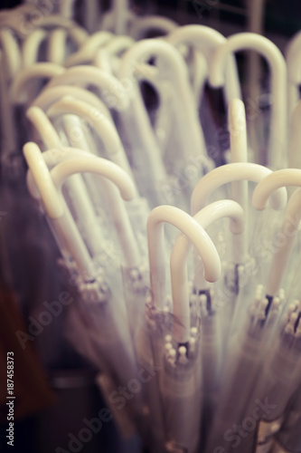 Many of transparent umbrella with white handle in pot, blurry process and vintage style.