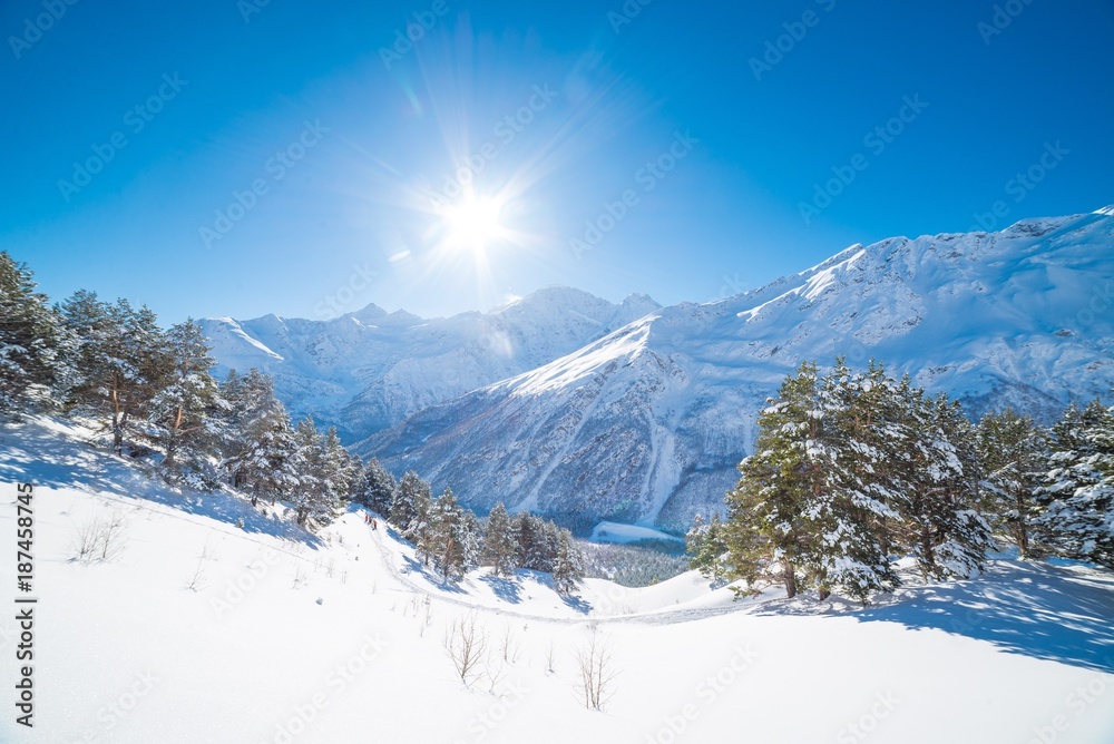 Красивый зимний пейзаж в горах