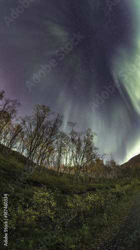 Auora Borealis  Autumn